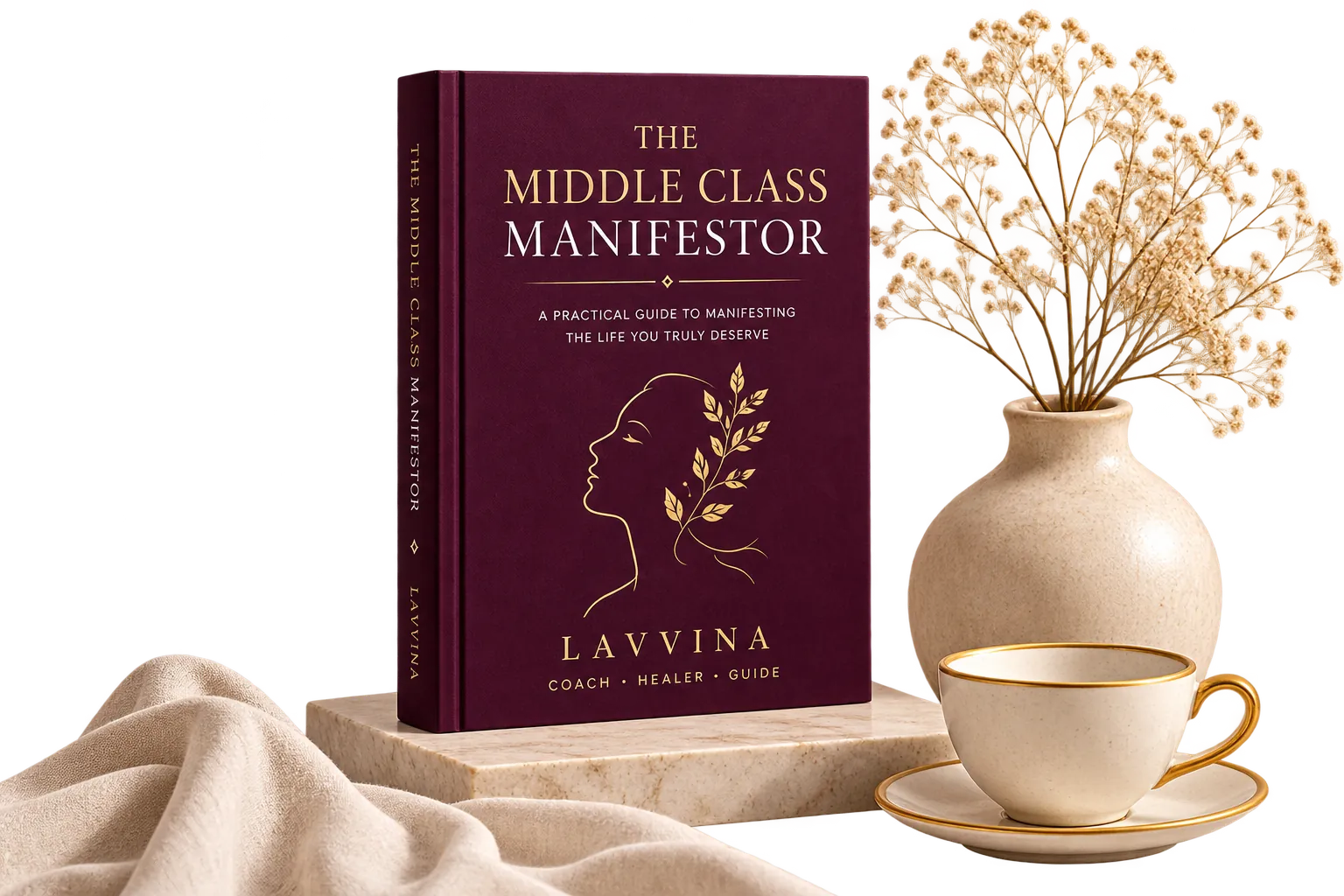 The Middle Class Manifestor - book by Lavvina
